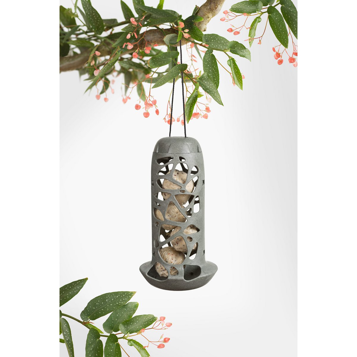 Singing Friend Hello Tara Vogelvoeder - Met Glazen fles - 100% Gerecycled - Afbeelding 3