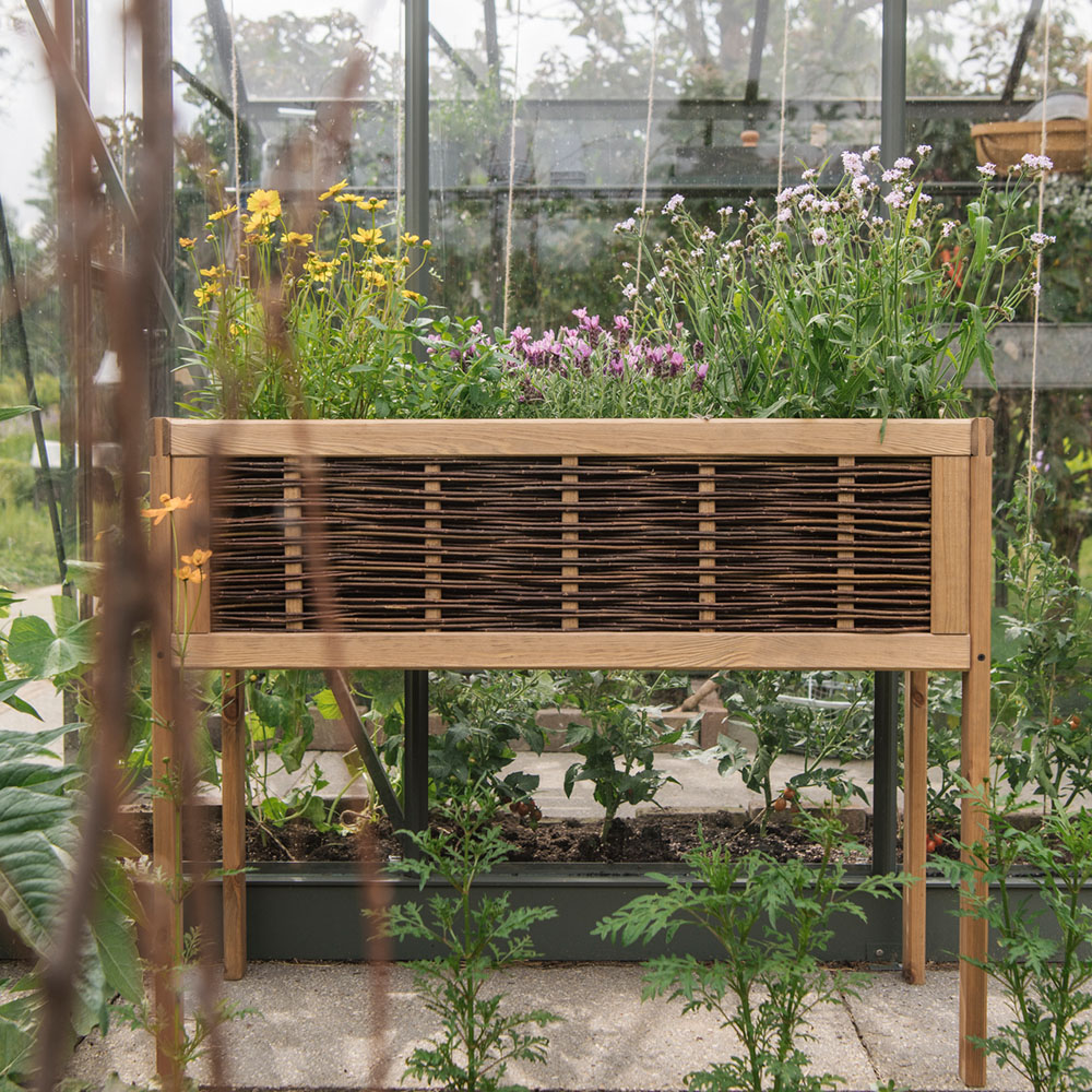 Royal Well Kweektafel Daisy - Afbeelding 3