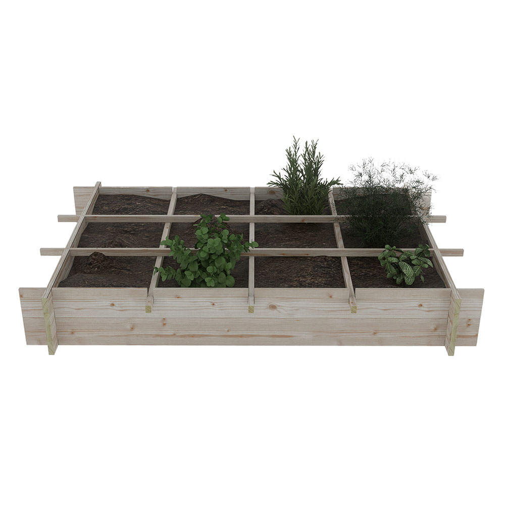 Royal Well Kweekbak Crispy Lettuce - Planter