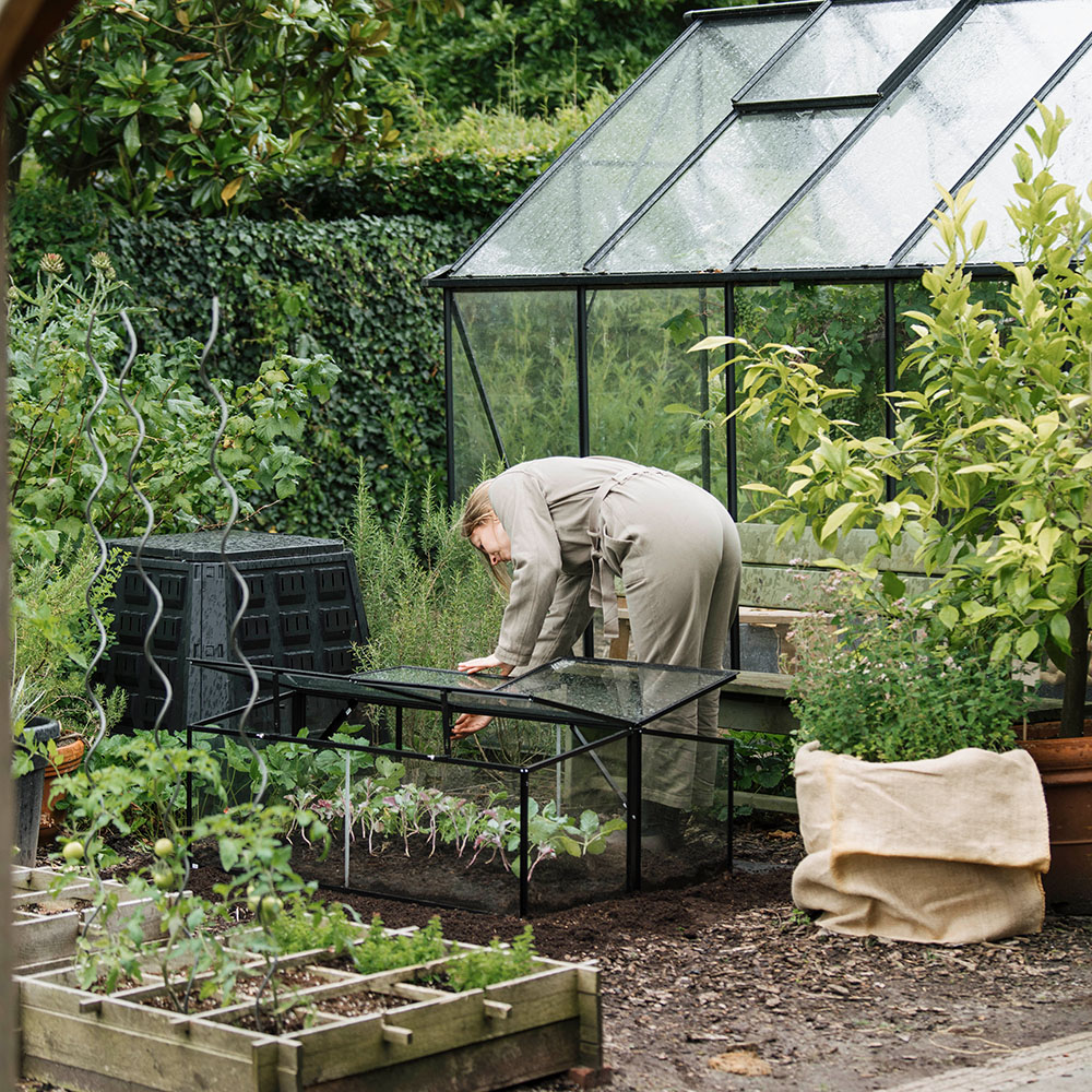 Royal Well Broeikas Parsley Planter - Groot - Afbeelding 2