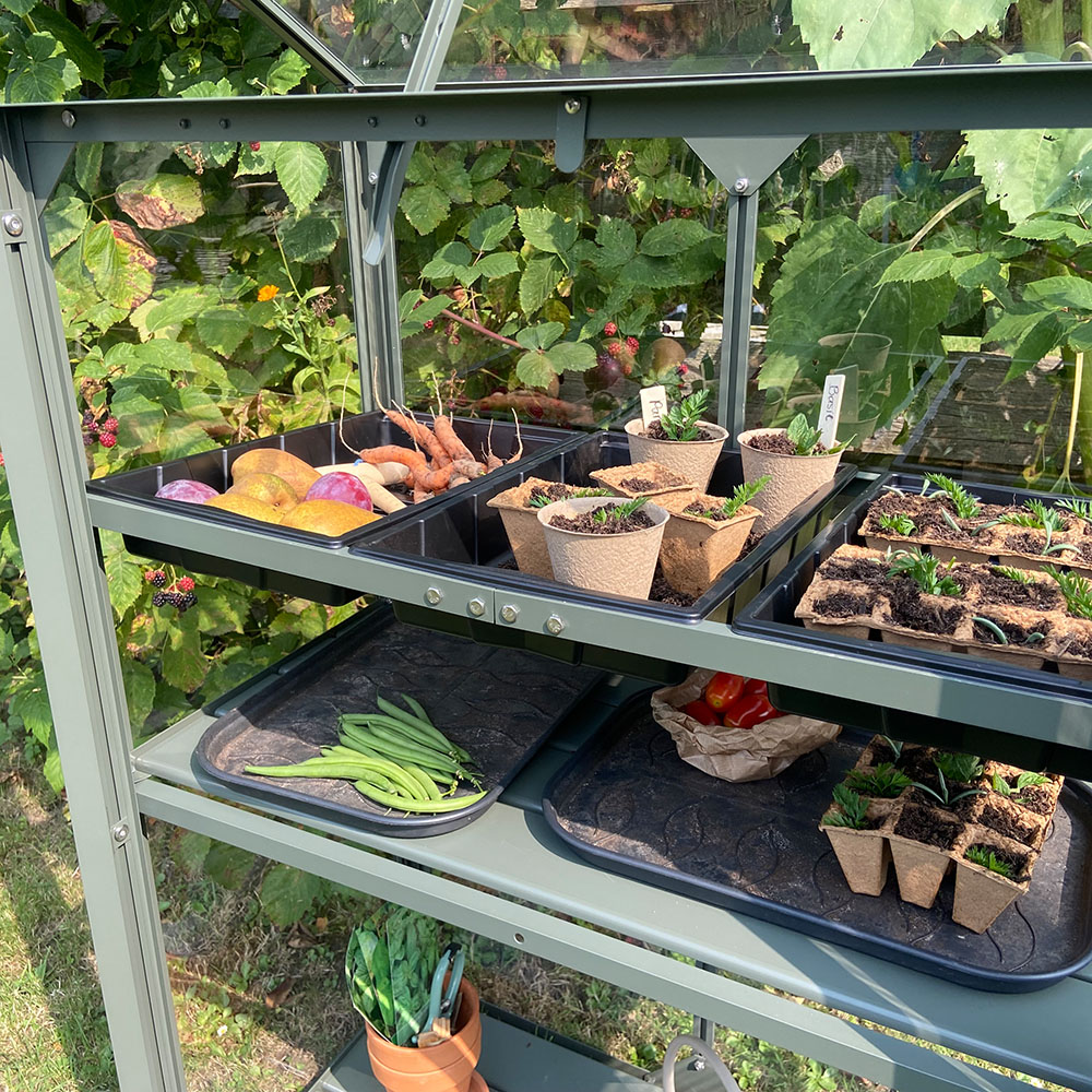 Royal Well Zaaibakjes - Kweekbakken voor Urban Grower - Seed Tray Set - Afbeelding 2