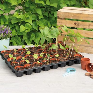 SOGO Kweekbak incl. 40 plastic potjes - Afbeelding 4