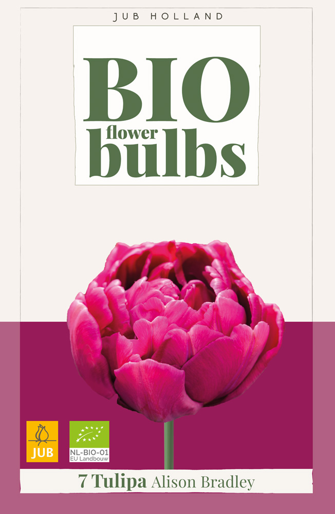 BIO Tulp Alison Bradley 7st.