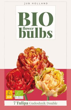 BIO Tulp Gudoshnik Double 7st.