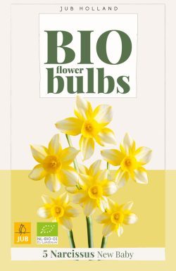 BIO Narcis New Baby 5st