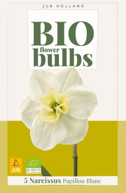 Bio Narcissus Papillon Blanc 5st