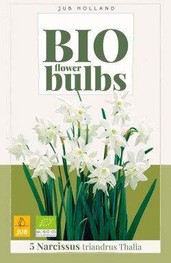 Bio Narcissus Triandrus Thalia 5st