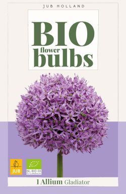 Bio Allium Gladiator 1 st.