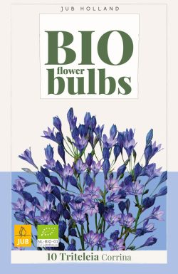 BIO Triteleia Corrina 10st.
