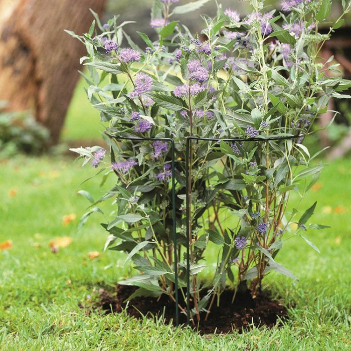 10x Plantensteun Half rond 100x40cm - Afbeelding 2