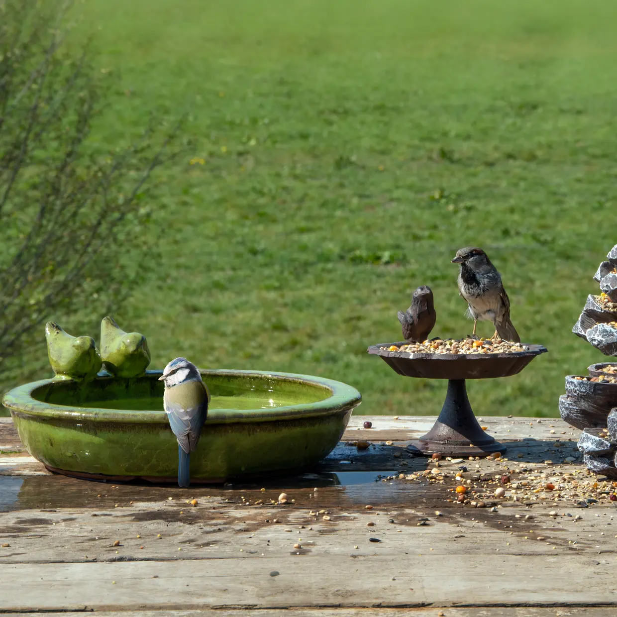 Esschert Design Vogelbad Keramiek Rond - Groen met Vogels - Afbeelding 2