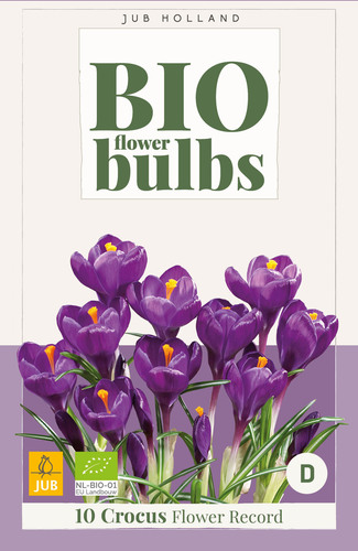 X_10_CROCUS_FLOWER_RECORD_-_BIO_7_