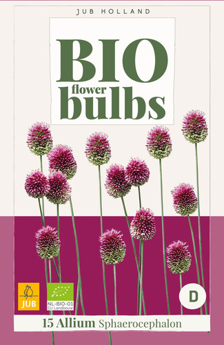 X_15_ALLIUM_SPHAEROCEPHALON_-_BIO_5_6