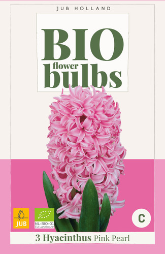 X_3_HYACINTHUS_PINK_PEARL_-_BIO_14_