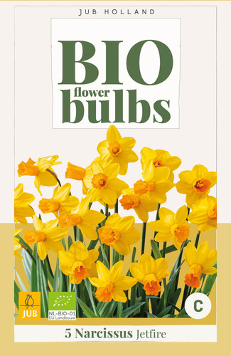 X_5_NARCISSUS_JETFIRE_-_BIO_10_12