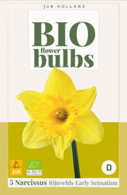 Bio Narcis Rijnvelds Early Sensation 5st.