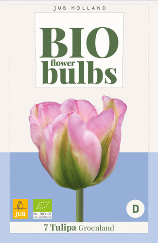 X_7_TULIPA_GROENLAND_-_BIO_11_