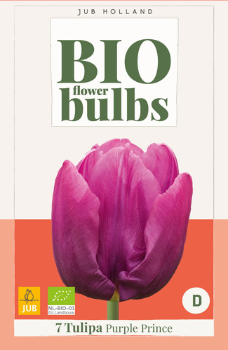 X_7_TULIPA_PURPLE_PRINCE_-_BIO_11_