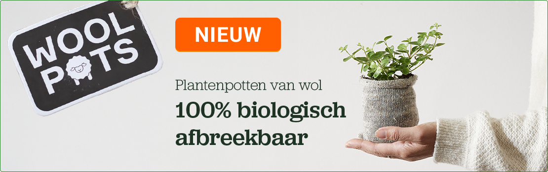 Wool Pots – 100% biologisch afbreekbare plantenpotten