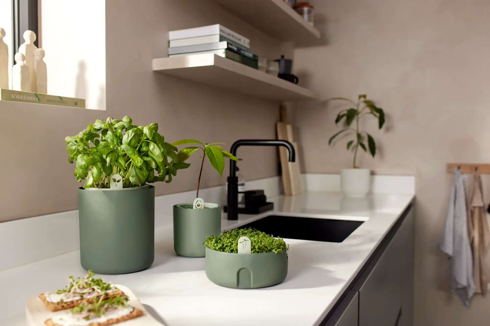 Elho Amazing Avocado Pot - Kweek je eigen Avocadoplant - Afbeelding 5