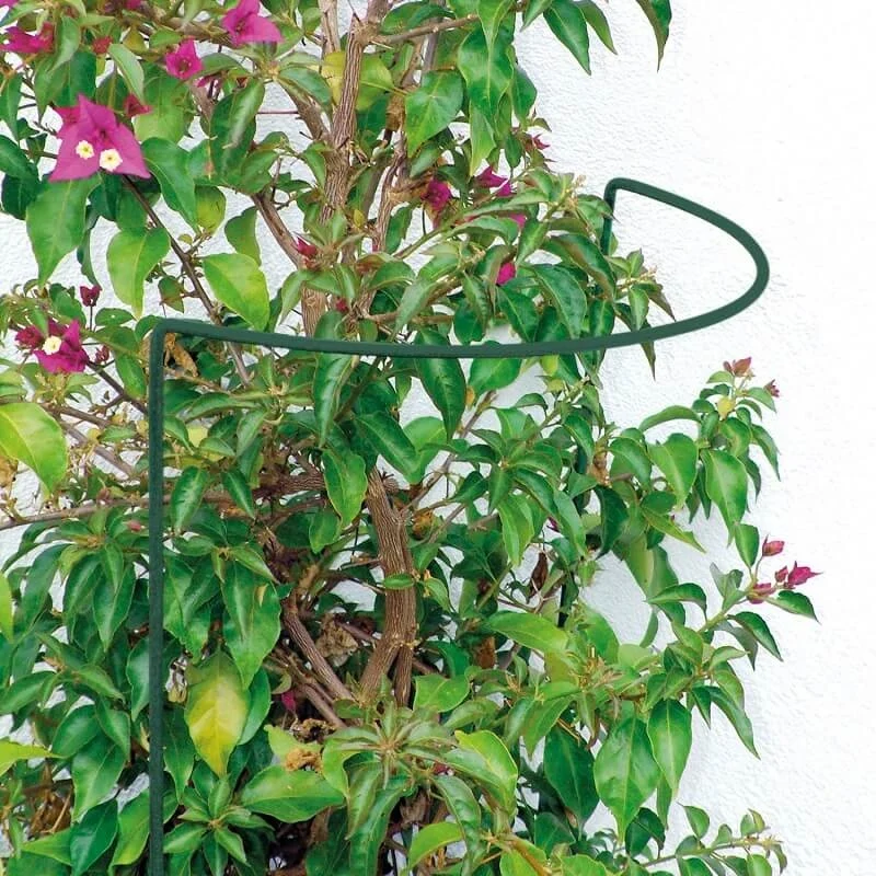10x Plantensteun Half rond 100x40cm - Afbeelding 3