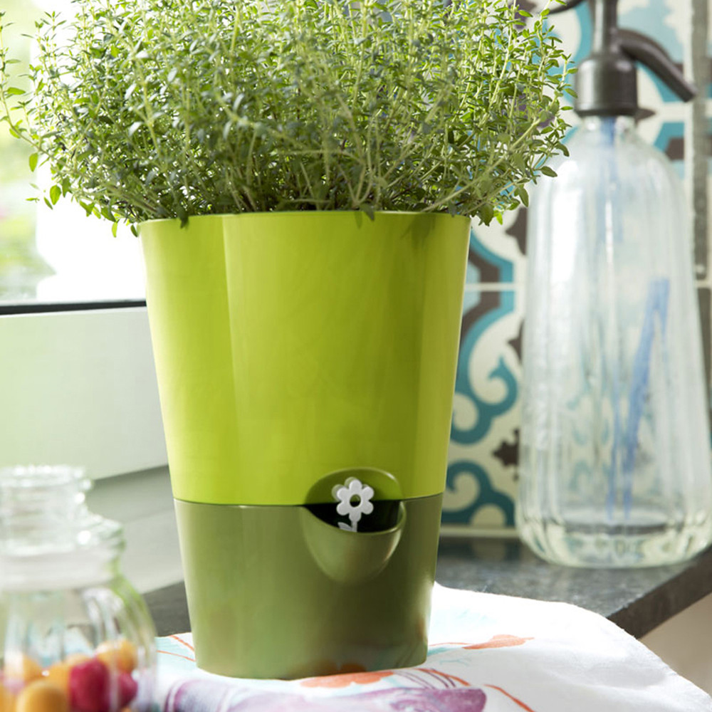 Kruidenpot groen