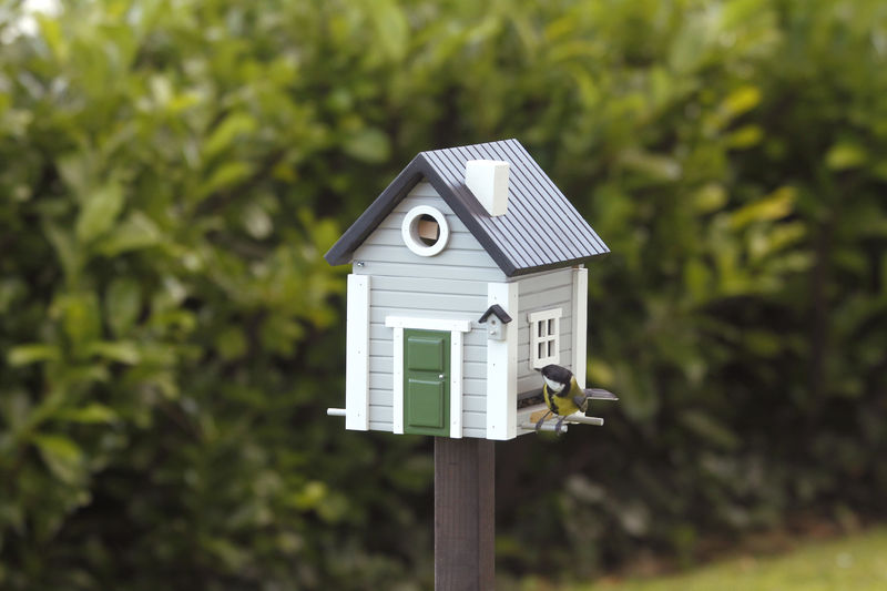 Wildlife Garden Vogelhaus/Feeder – Red Soil