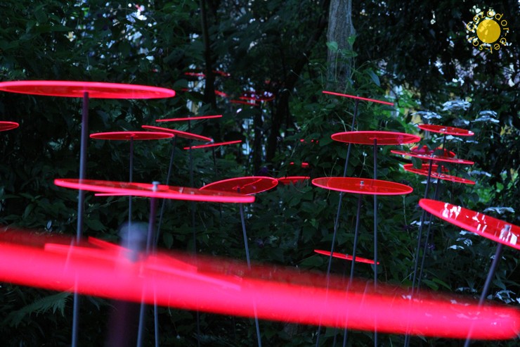 Zonnevanger Cazador-del-sol Uno rood